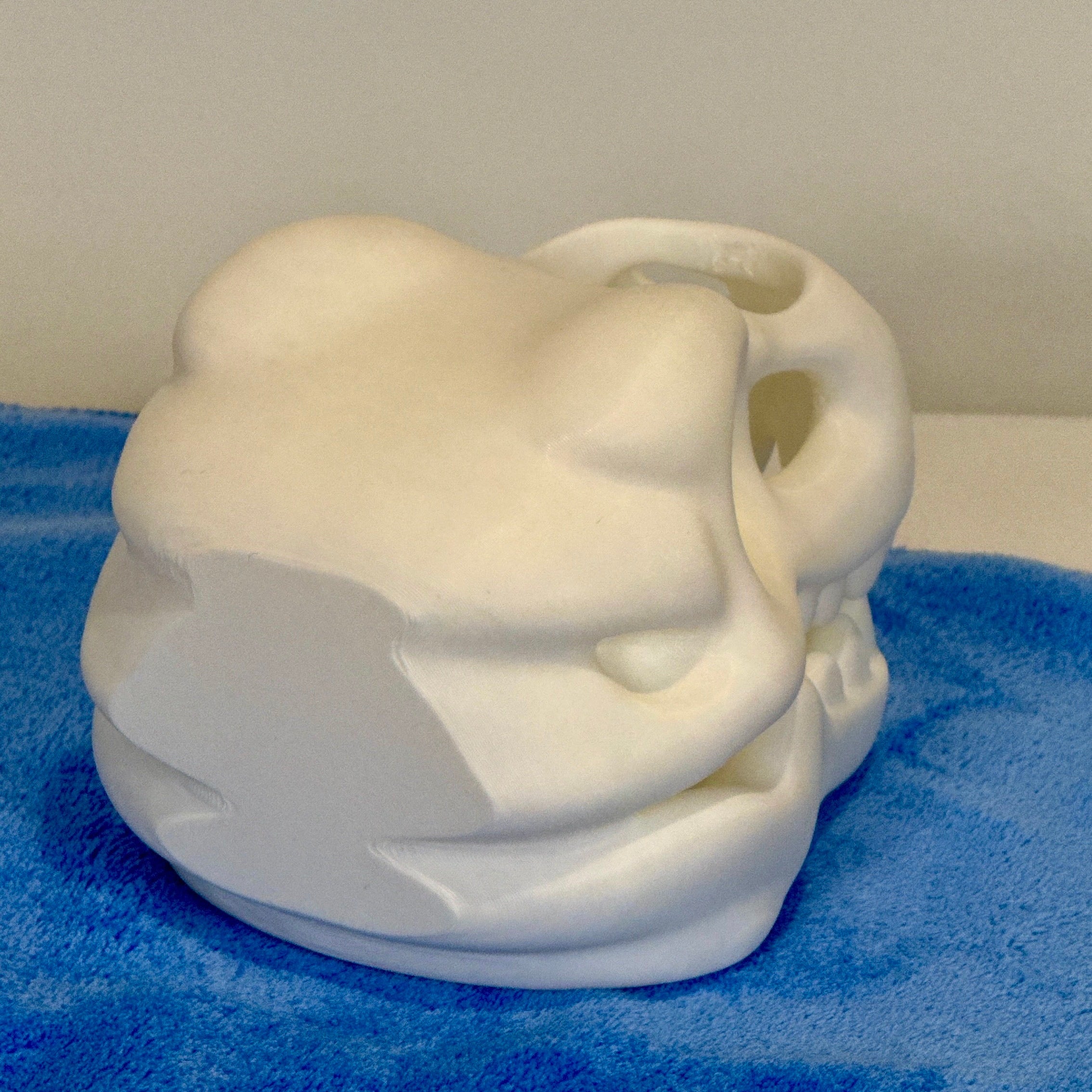 white plastic T Rex skull on a blue towel
