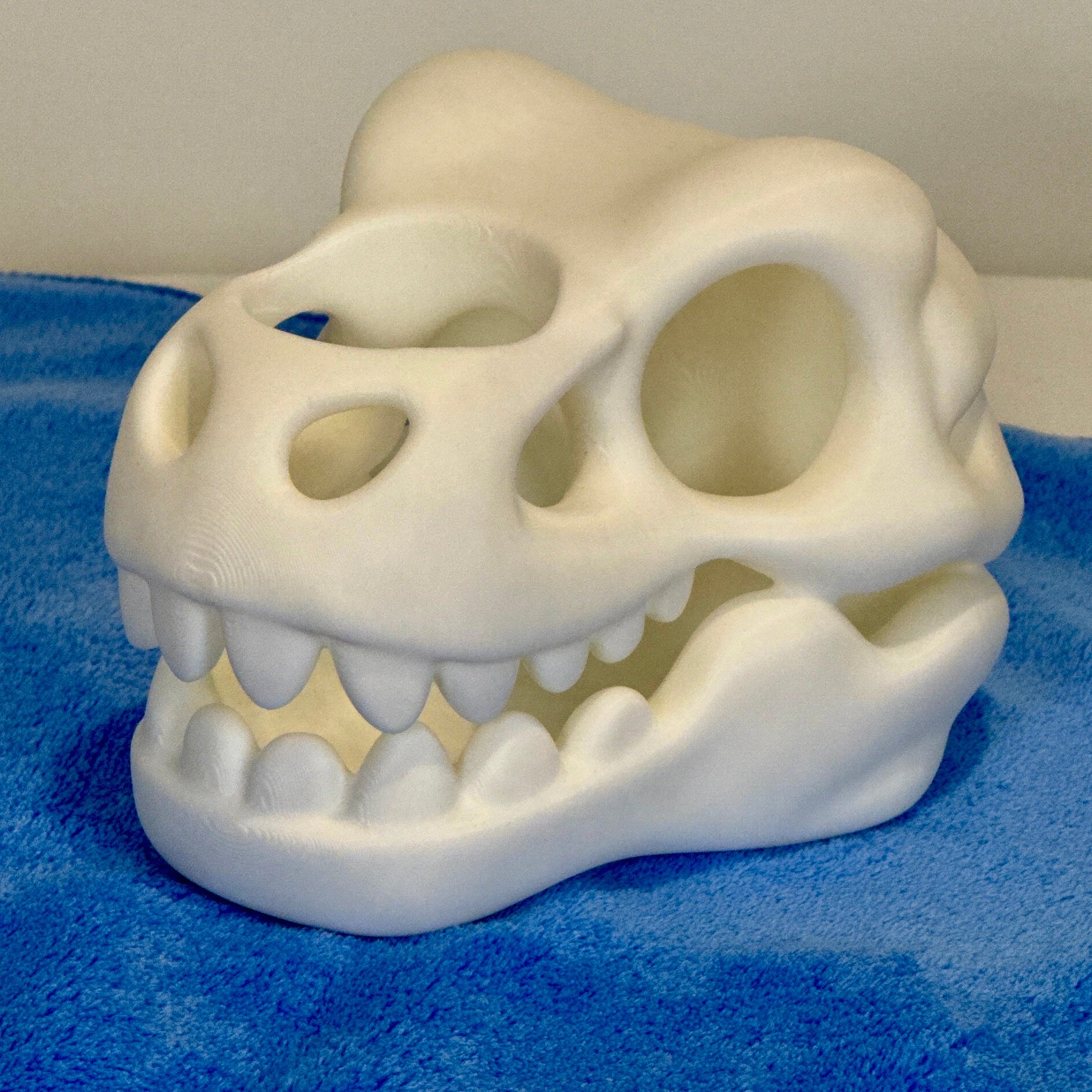 White ceramic skull on a blue textured surface