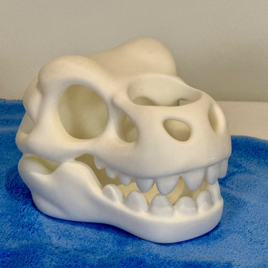 white plastic T Rex skull on a blue towel