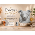 Memorial urn for a Border Collie with 'Forever Faithful' text and product details.